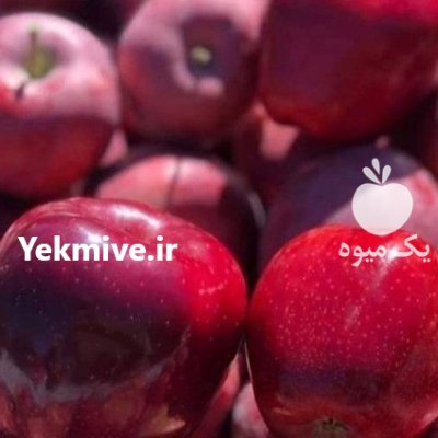 سیب سرخ اشنویه در آذربایجان غربی در گروه خرید و فروش سیب در یکمیوه -عکس2