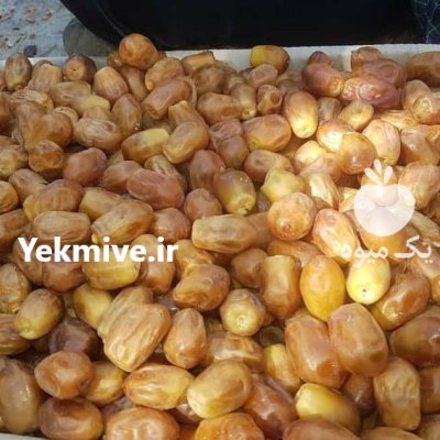 تامین محصولات کشاورزی و مرکبات در دهبارز در گروه خرید و فروش محصولات باغبانی در یکمیوه -عکس2