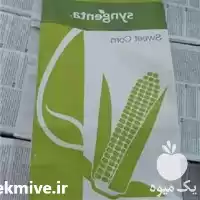 فروش بذر ذرت اکسن چوئیت در اهواز در گروه خرید و فروش بذر ذرت در یکمیوه