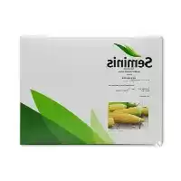 بذر ذرت شیرین مسنجر فروش ویژه در شیراز در گروه خرید و فروش بذر ذرت در یکمیوه