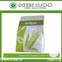 فروش بذر ذرت اکشن بذر روز در اهواز در گروه خرید و فروش بذر ذرت در یکمیوه