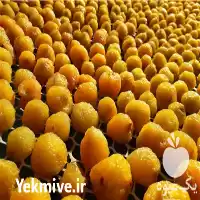 خرید فروش آلو خشک بخارا در گروه خرید و فروش آلو در یکمیوه