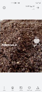 کود مرغی قفسی در گروه خرید و فروش کود مرغی در یکمیوه