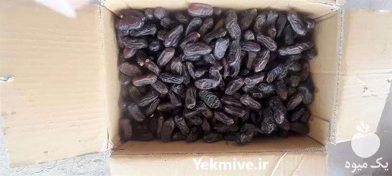 ویژه عمده خرمای ربی صادراتی در زاهدان در گروه خرید و فروش خرما در یکمیوه -عکس1