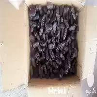 ویژه عمده خرمای ربی صادراتی در زاهدان در گروه خرید و فروش خرما در یکمیوه