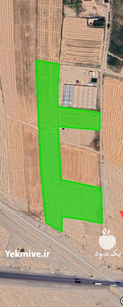 دو هکتار زمین کشاورزی در گرمسار در گروه فروش ملک و زمین در یکمیوه -عکس1