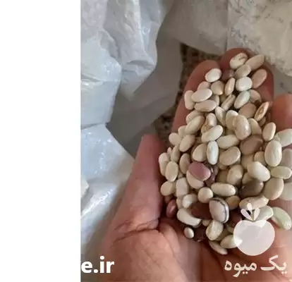 فروش لوبیا حبوبات تازه خمین در تهران در گروه خرید و فروش غلات و حبوبات در یکمیوه -عکس1