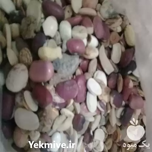 ارائه و فروش ضایعات لوبیا در تهران در گروه خوراک دام و طیور در یکمیوه -عکس1