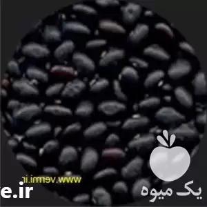 قیمت خرید لوبیا سیاه در تهران در گروه خرید و فروش غلات و حبوبات در یکمیوه -عکس1