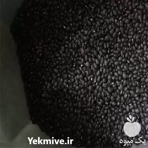 فروش لوبیا سیاه درجه یک در سمنان در گروه خرید و فروش غلات و حبوبات در یکمیوه -عکس1