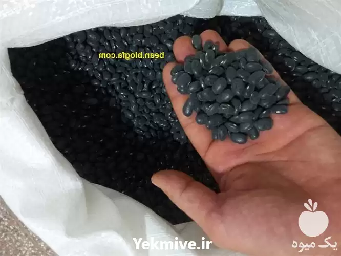 قیمت خرید لوبیا سیاه خواص آن در گروه خرید و فروش غلات و حبوبات در یکمیوه -عکس1
