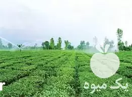 قیمت خرید تهیه یونجه در گروه خوراک دام و طیور در یکمیوه -عکس1