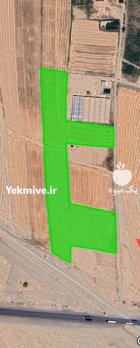 دو هکتار زمین کشاورزی در گرمسار در گروه فروش ملک و زمین در یکمیوه