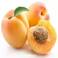 قیمت خرید پخش عمده زردآلو در تبریز در گروه خرید و فروش زردآلو در یکمیوه