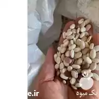 فروش لوبیا حبوبات تازه خمین در تهران در گروه خرید و فروش غلات و حبوبات در یکمیوه