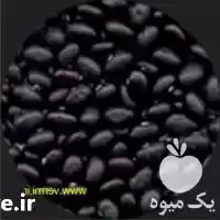 قیمت خرید لوبیا سیاه در تهران در گروه خرید و فروش غلات و حبوبات در یکمیوه
