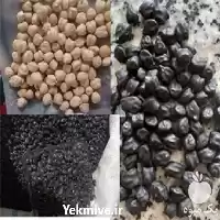 فروش قیمت حبوبات تازه لوبیا در تهران در گروه خرید و فروش غلات و حبوبات در یکمیوه