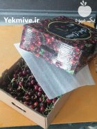 گیلاس تکدانه اشنویه