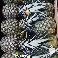 قیمت خرید انواع میوه های در سنندج در گروه خرید و فروش نارگیل آناناس در یکمیوه
