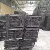 قیمت خرید عمده سبد میوه سبد در بوشهر در گروه خرید و فروش انواع سبد در یکمیوه