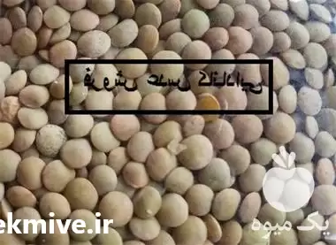 قیمت خرید عدس کانادایی اصل قیمت در تهران در گروه خرید و فروش غلات و حبوبات در یکمیوه -عکس1