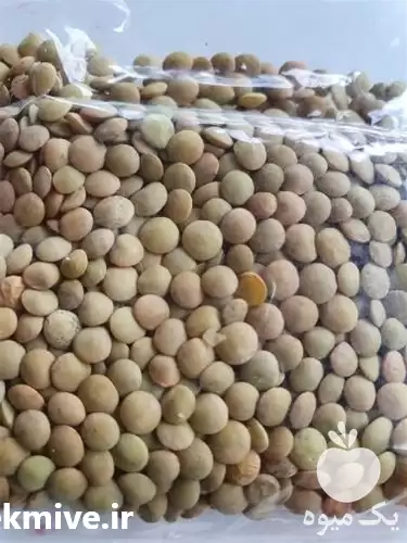 فروش عدس کانادایی سایر حبوبات در کرج در گروه خرید و فروش غلات و حبوبات در یکمیوه -عکس1