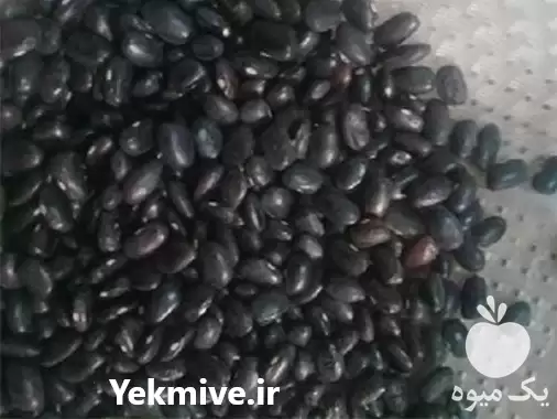قیمت لوبیا سیاه فروش در تهران در گروه خرید و فروش غلات و حبوبات در یکمیوه -عکس1