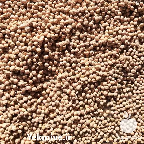 قیمت خرید نخود عمده در کرمانشاه در گروه خرید و فروش غلات و حبوبات در یکمیوه -عکس1