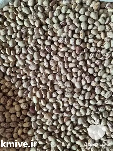 فروش لوبیا چیتی در گروه خرید و فروش غلات و حبوبات در یکمیوه -عکس1