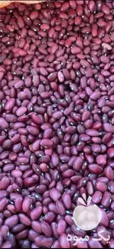 قیمت خرید لوبیا قرمز درجه یک در شیراز در گروه خرید و فروش غلات و حبوبات در یکمیوه -عکس1