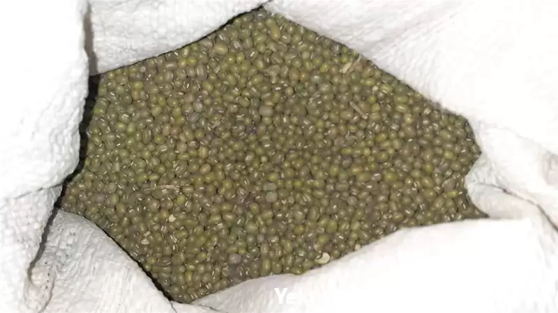 قیمت خرید حبوبات و خشکبار در گروه خرید و فروش غلات و حبوبات در یکمیوه -عکس1