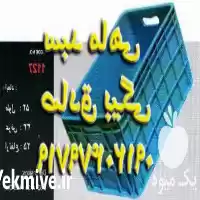 قیمت خرید سبد ماهی در گروه خرید و فروش انواع سبد در یکمیوه