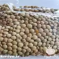 فروش عدس کانادایی سایر حبوبات در کرج در گروه خرید و فروش غلات و حبوبات در یکمیوه