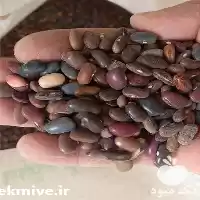 فروش لوبیا ارزان قیمت در تهران در گروه خرید و فروش غلات و حبوبات در یکمیوه