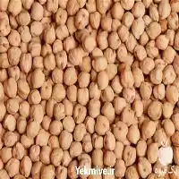 قیمت خرید نخود کرمانشاه در تهران در گروه خرید و فروش غلات و حبوبات در یکمیوه