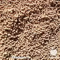 قیمت خرید نخود عمده در کرمانشاه در گروه خرید و فروش غلات و حبوبات در یکمیوه