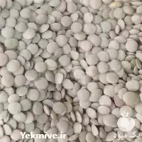 فروش عدس به صورت عمده در تهران در گروه خرید و فروش غلات و حبوبات در یکمیوه