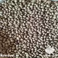 فروش لوبیا چیتی در گروه خرید و فروش غلات و حبوبات در یکمیوه