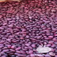 قیمت خرید لوبیا قرمز درجه یک در شیراز در گروه خرید و فروش غلات و حبوبات در یکمیوه