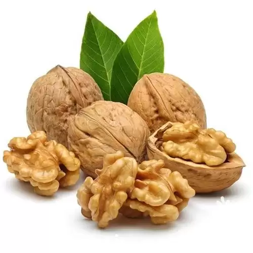 قیمت خرید انواع روغن ارگانیک در قم در گروه خرید و فروش انواع روغن در یکمیوه -عکس1