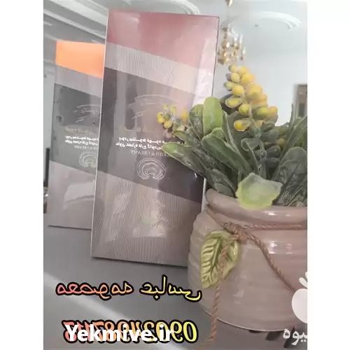 فروش قیمت عمده قارچ گانودرما در گرگان در گروه خرید و فروش قارچ در یکمیوه -عکس1