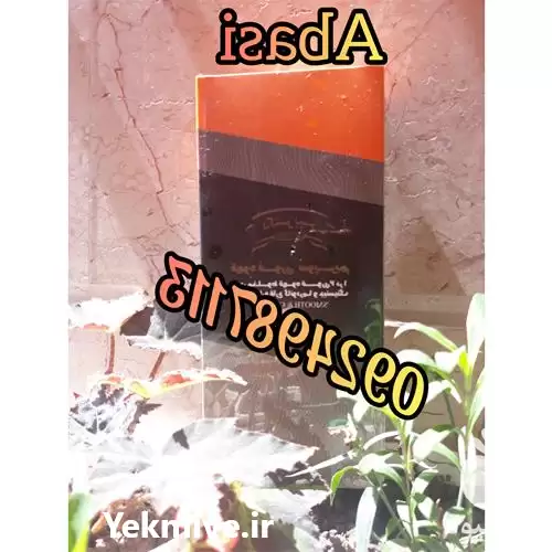 فروش عمده قارچ گانودرما اصل جشنواره در تهران در گروه خرید و فروش قارچ در یکمیوه -عکس1