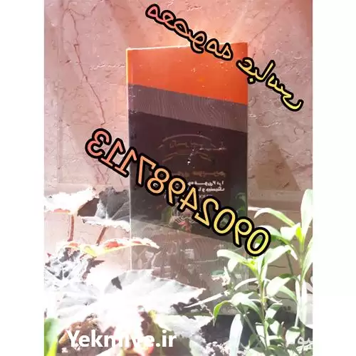 فروش قارچ گانودرما اصل در شیراز در گروه خرید و فروش قارچ در یکمیوه -عکس1