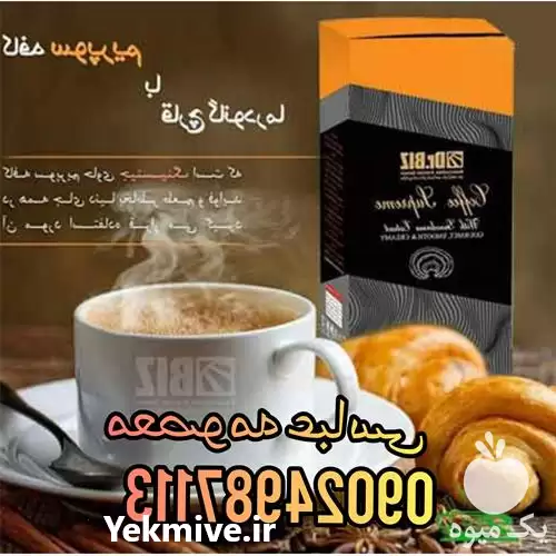 فروش عمده قارچ گانودرما در گروه خرید و فروش قارچ در یکمیوه -عکس1