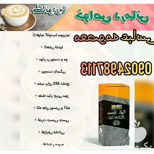 فروش عمده قارچ گانودرما در ارومیه در گروه خرید و فروش قارچ در یکمیوه -عکس1