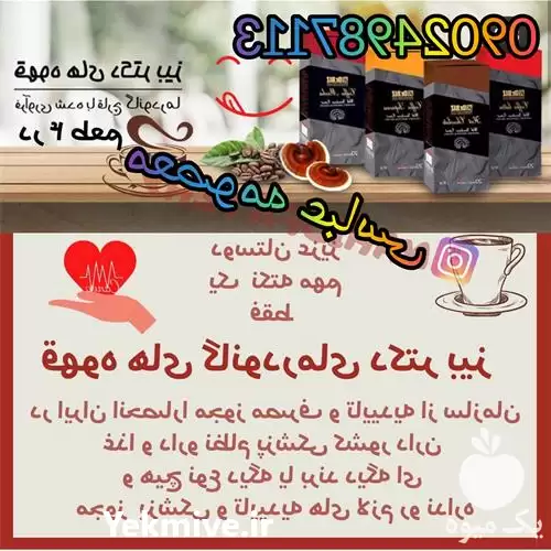 فروش عمده قارچ گانودرما در گروه خرید و فروش قارچ در یکمیوه -عکس1