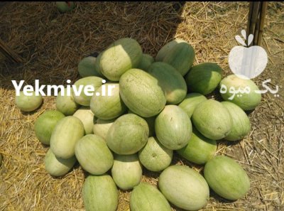 عرضه مستقیم زردآلو و هندوانه و هلو در تهران در گروه خرید و فروش زردآلو در یکمیوه -عکس1