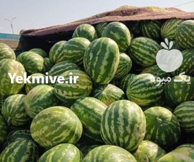 عرضه مستقیم زردآلو و هندوانه و هلو در تهران در گروه خرید و فروش زردآلو در یکمیوه -عکس3