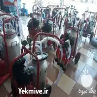 فروش شیردوش دستی و برقی گاوی و گوسفندی در زنجان در گروه تجهیزات دامداری در یکمیوه