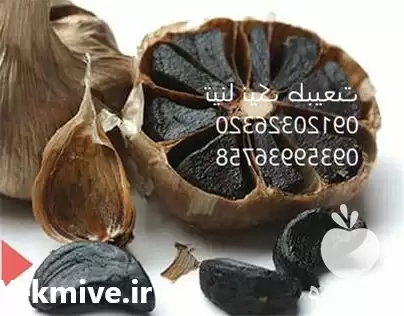 فروش خرید سیر سیاه با قیمتی در گروه خرید و فروش سیر در یکمیوه -عکس1